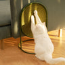 RAVIX LEASH COMFORT - No Crumb Vertical Multifunctional Pet Supplies Cat Claw Board