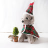 RAVIX LEASH COMFORT - Creative Pet Clothes Christmas Funny