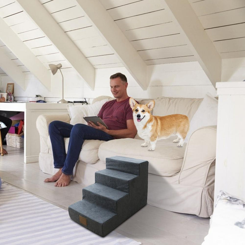 THE RAVIX LEASH COMFORT STANDARD